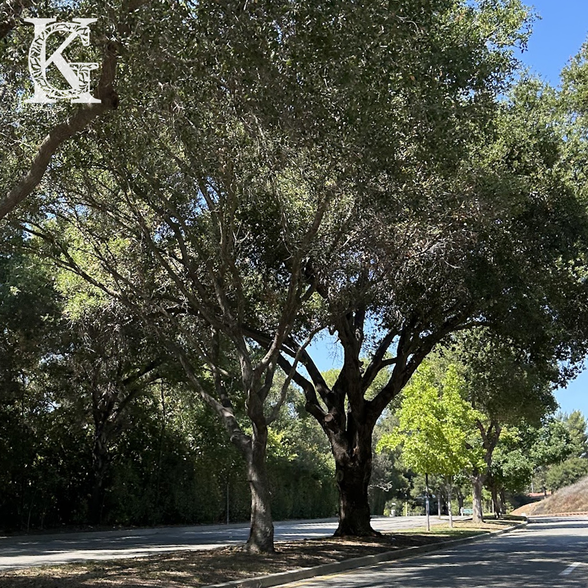 TO-splash-4.jpg TO-splash-4.jpg