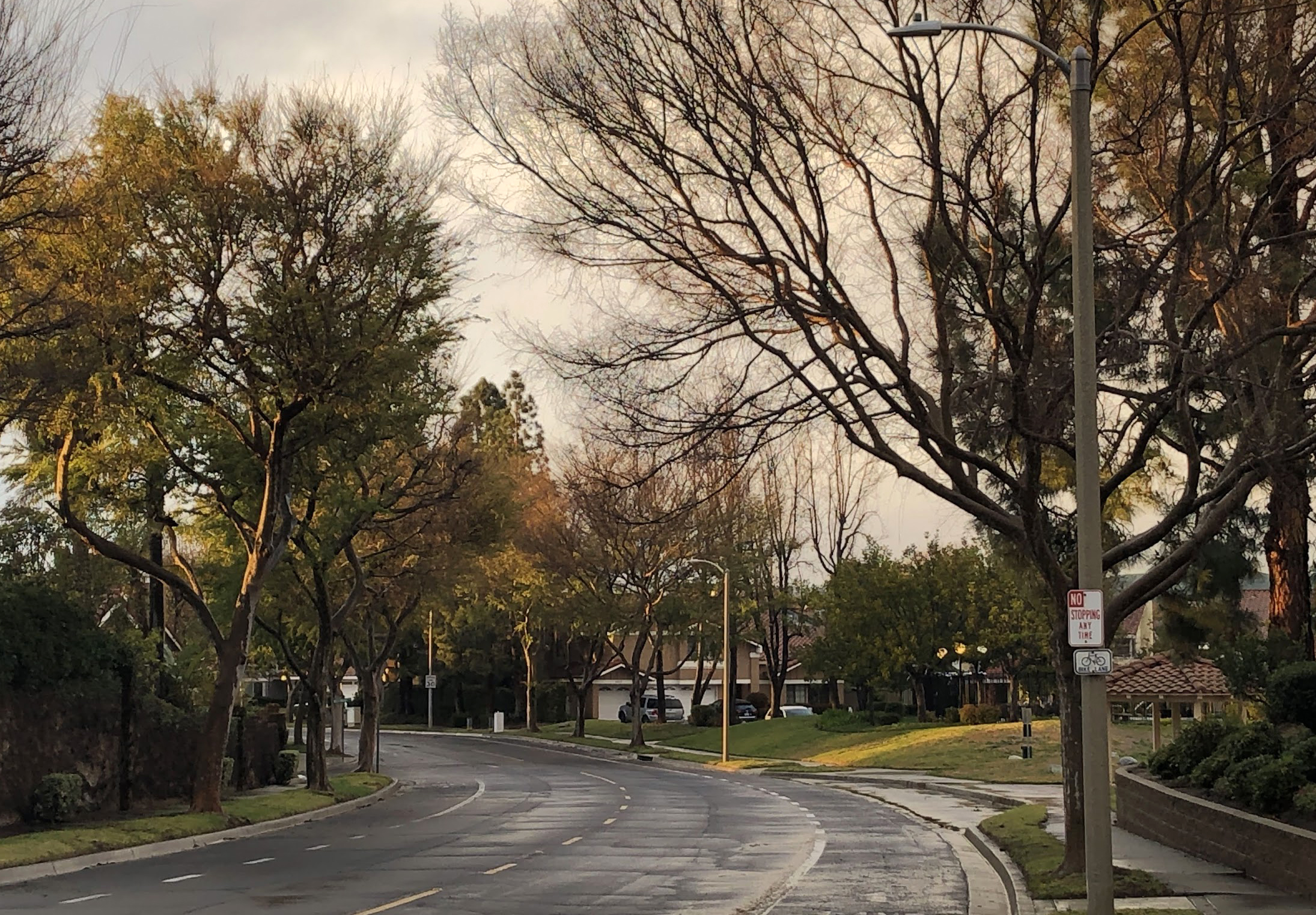 moorpark button moorpark button