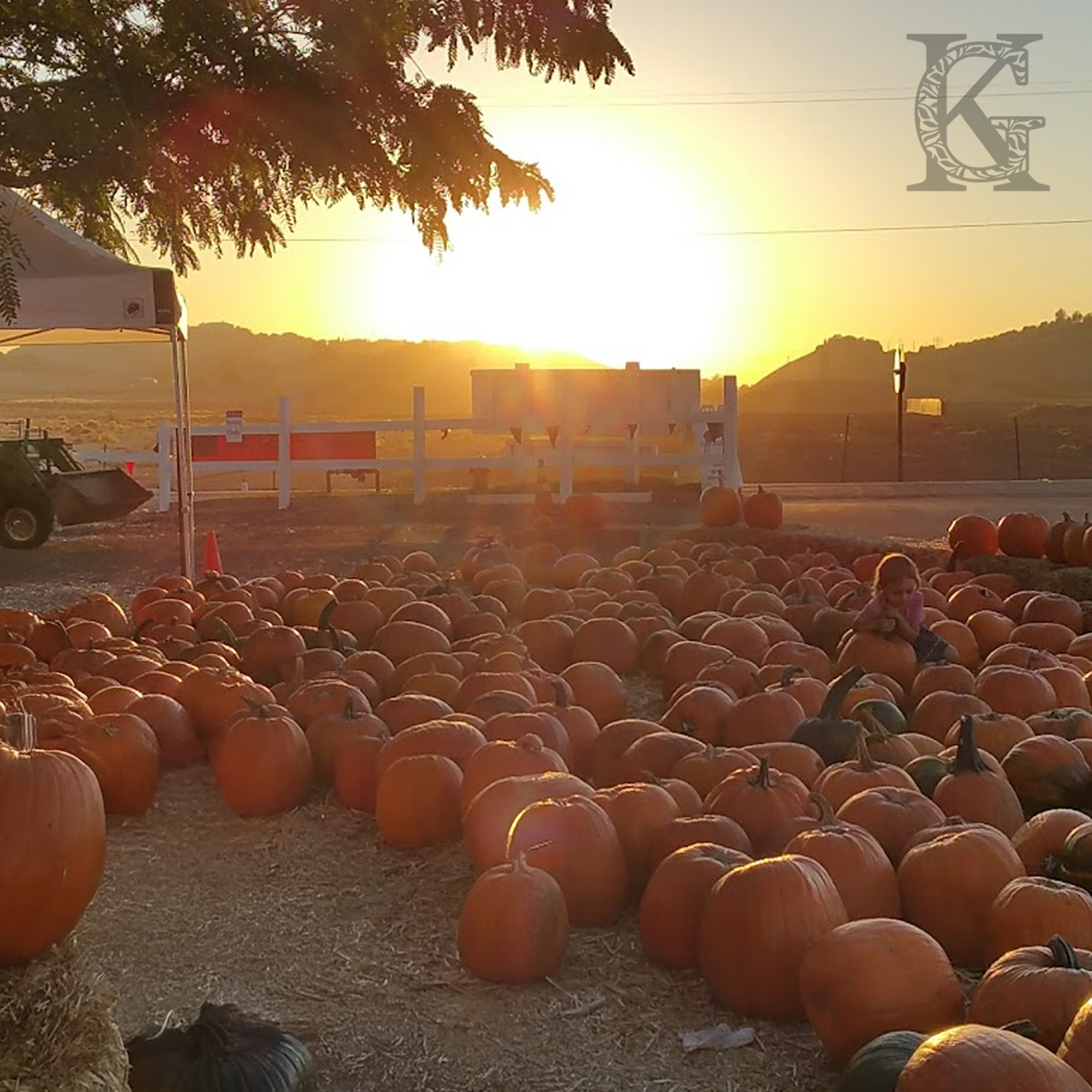 moorpark-splash.jpg moorpark-splash.jpg