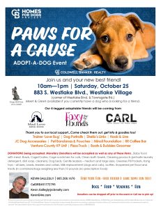 paws-4-a-cause-single